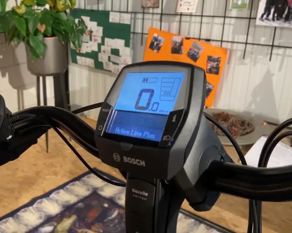 Uitleg Bosch Intuvia Display